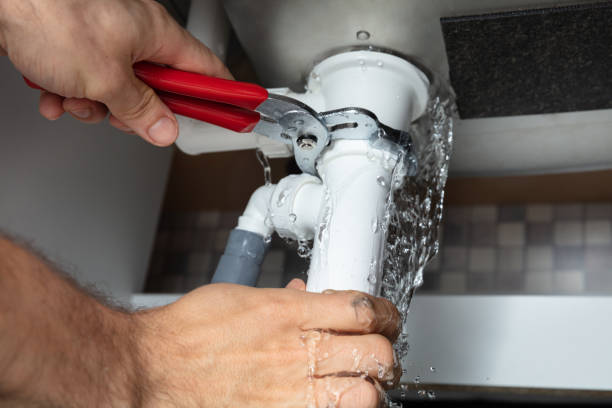 Best Professional water damage repair  in Danvers, IL