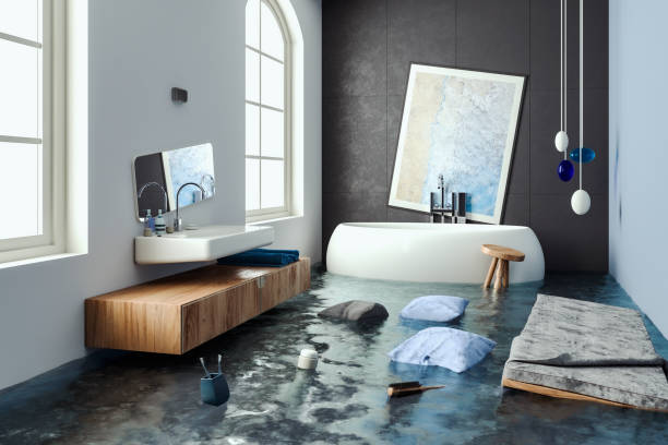 Best Professional water damage repair  in Danvers, IL
