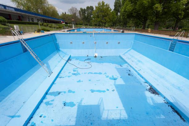 Best Basement water damage restoration  in Danvers, IL