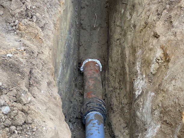 Best Flood damage cleanup  in Danvers, IL