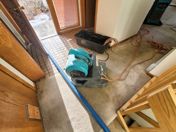 Best Water damage restoration experts  in Danvers, IL