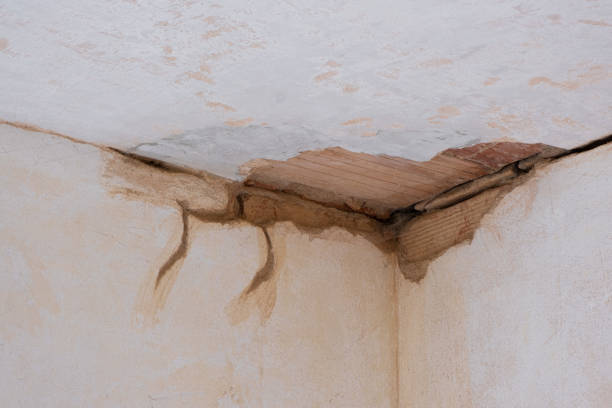 Best 24-hour water damage restoration  in Danvers, IL