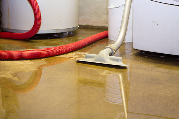 Best Basement water damage restoration  in Danvers, IL