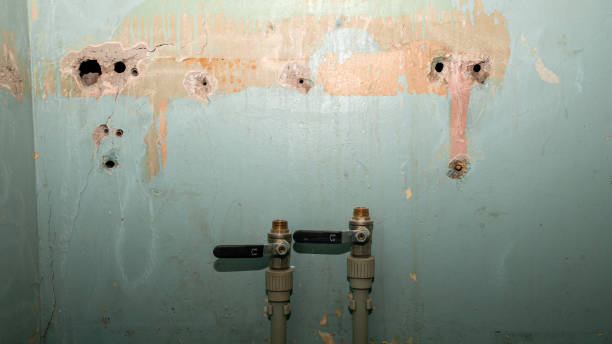  Danvers, IL Water damage restoration Pros