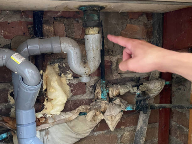 Best Flooded house restoration  in Danvers, IL
